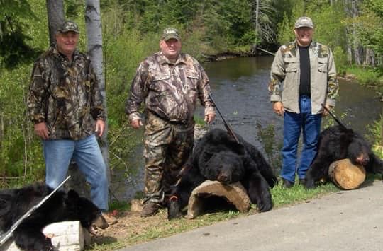 Bear Hunting In New Brunswick