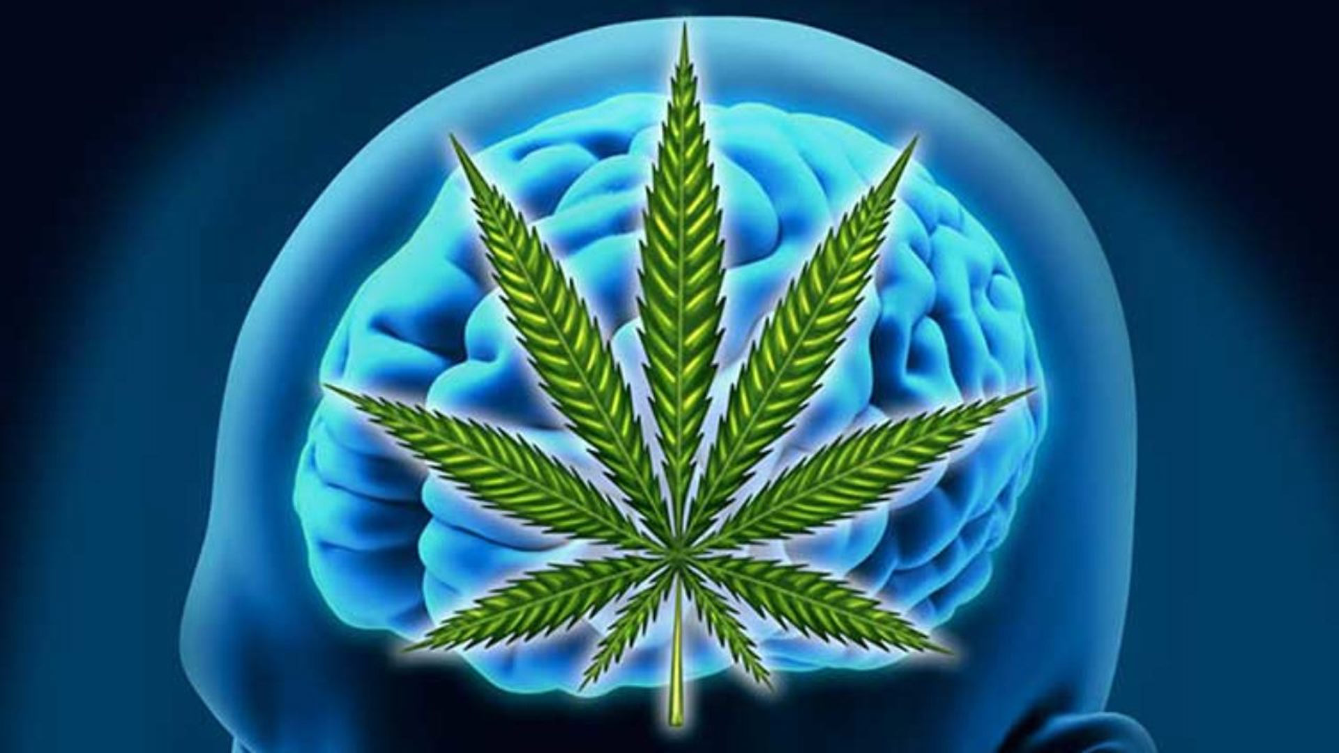 Cannabis and Alzheimer's