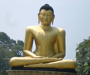 https://sri-lanka-tours-online.com/sri-lanka-tours-packages/