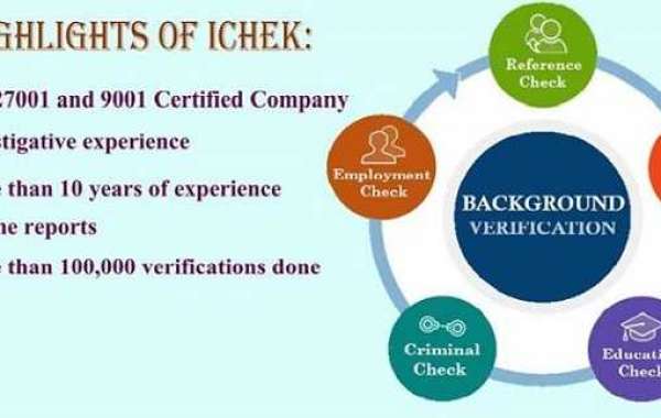 iChek : Background check company